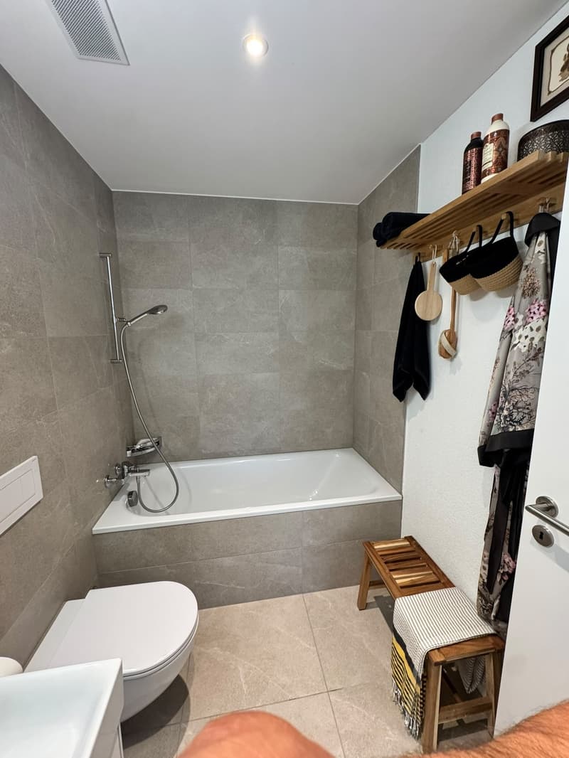 Modern 3.5-room penthouse flat with a spacious terrace (8)