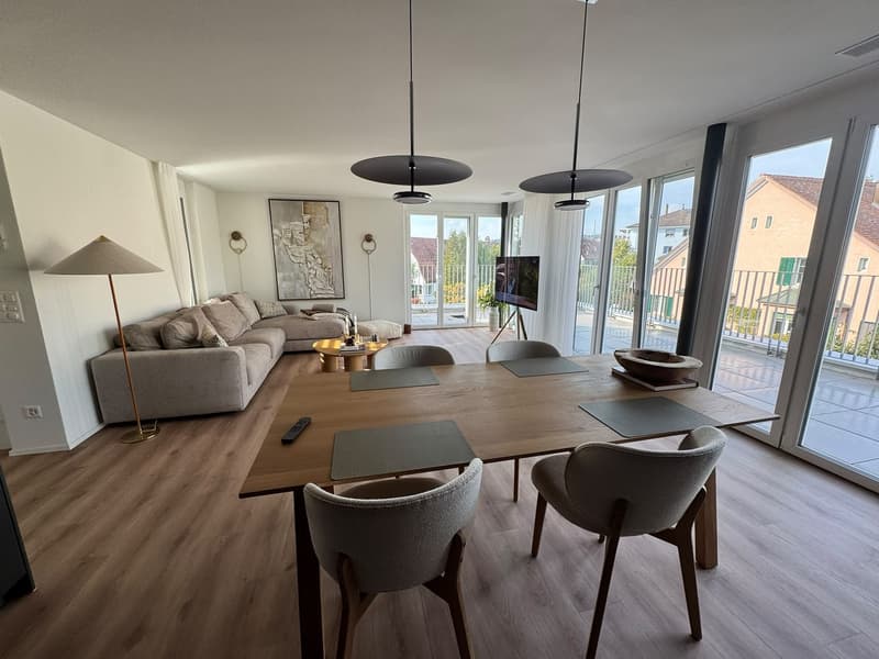 Modern 3.5-room penthouse flat with a spacious terrace (7)