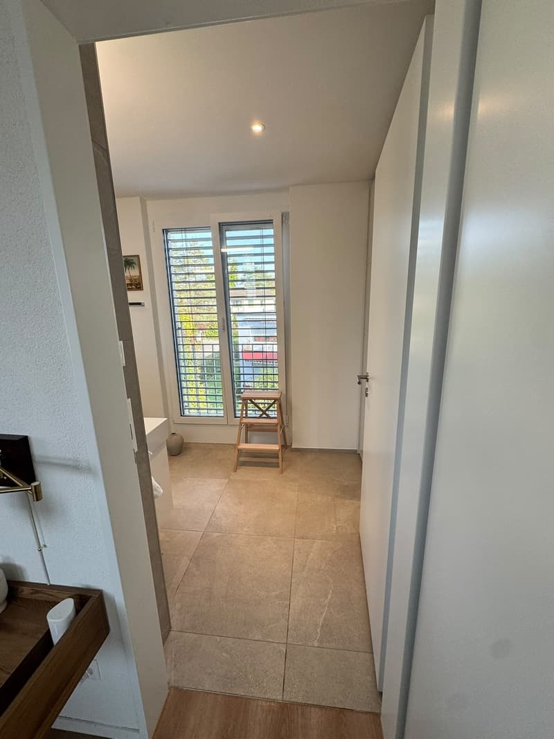 Modern 3.5-room penthouse flat with a spacious terrace (6)