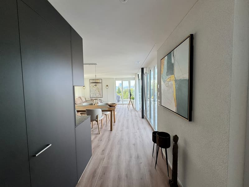 Modern 3.5-room penthouse flat with a spacious terrace (13)