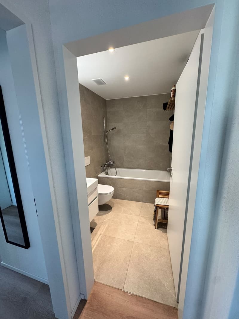 Modern 3.5-room penthouse flat with a spacious terrace (4)