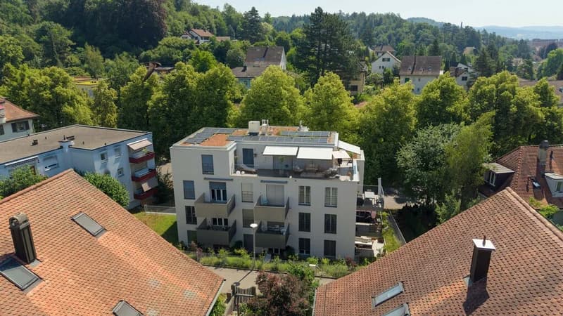 Modern 3.5-room penthouse flat with a spacious terrace (2)