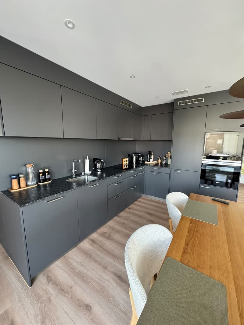 Modern 3.5-room penthouse flat with a spacious terrace (5)