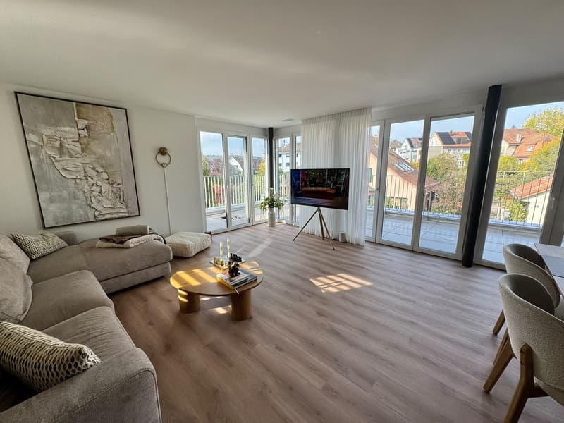 Modern 3.5-room penthouse flat with a spacious terrace (12)