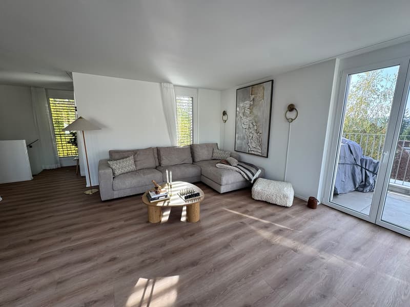 Modern 3.5-room penthouse flat with a spacious terrace (11)
