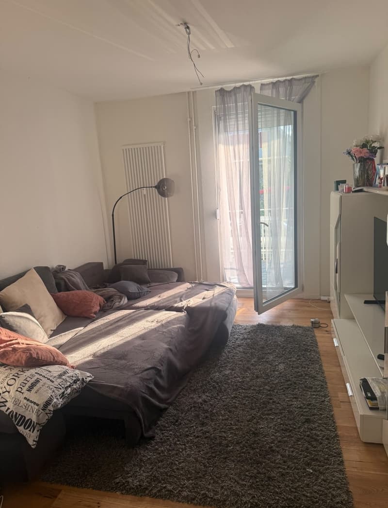 4.5 Zimmer Wohnung (1)
