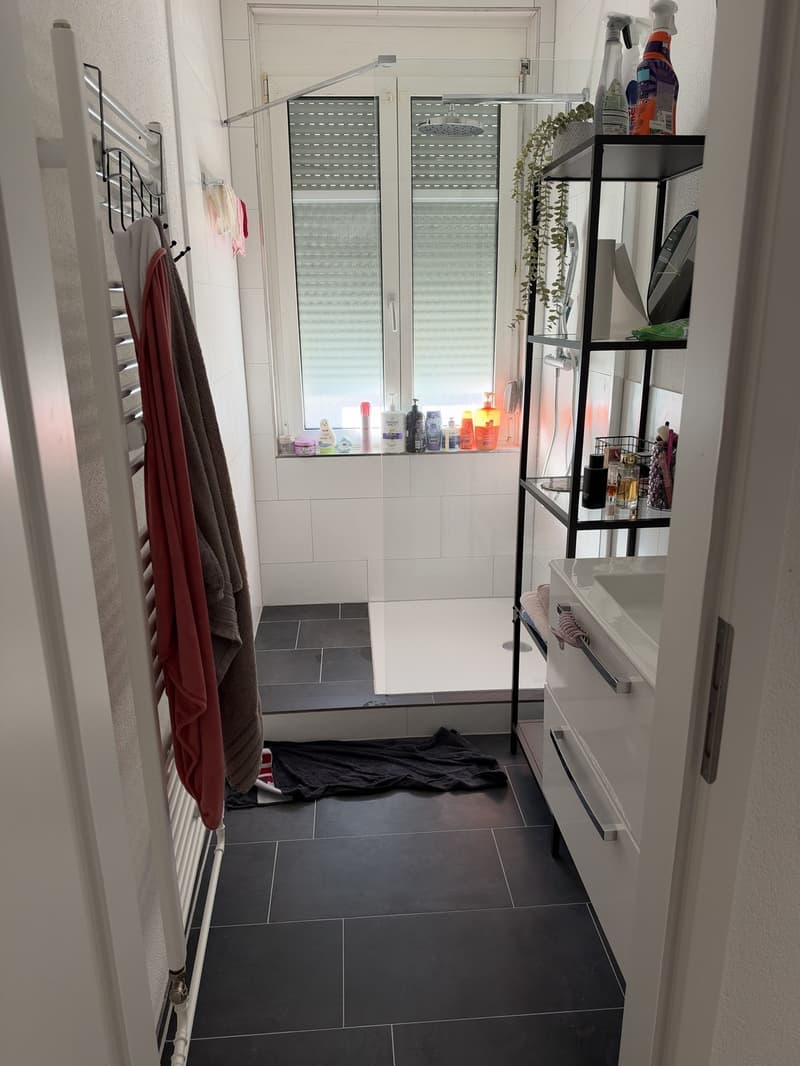 4.5 Zimmer Wohnung (8)