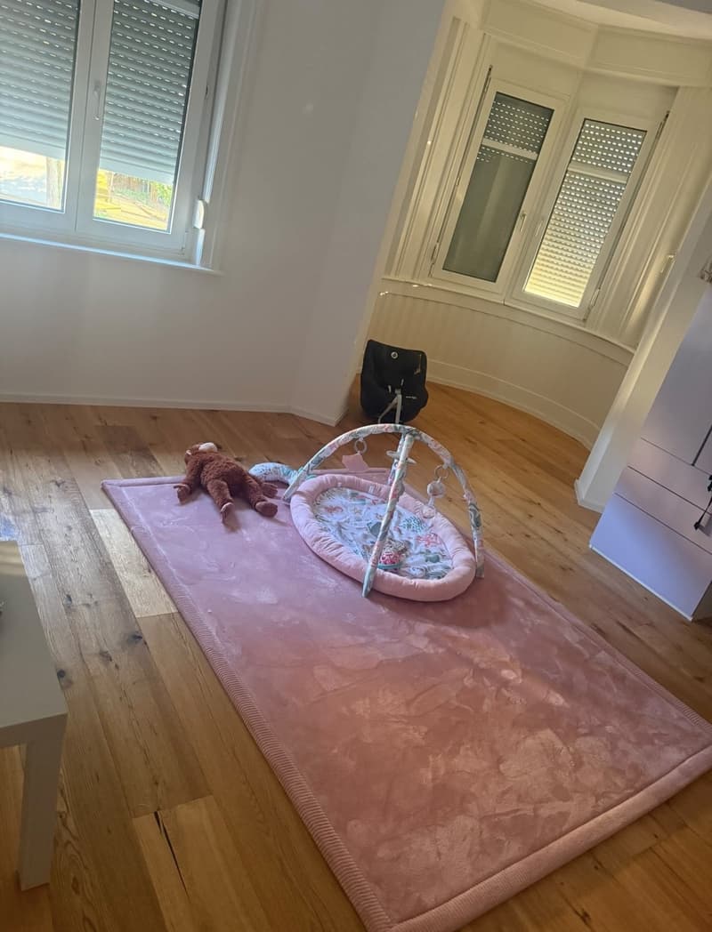 4.5 Zimmer Wohnung (2)