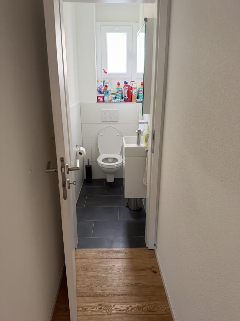 4.5 Zimmer Wohnung (10)
