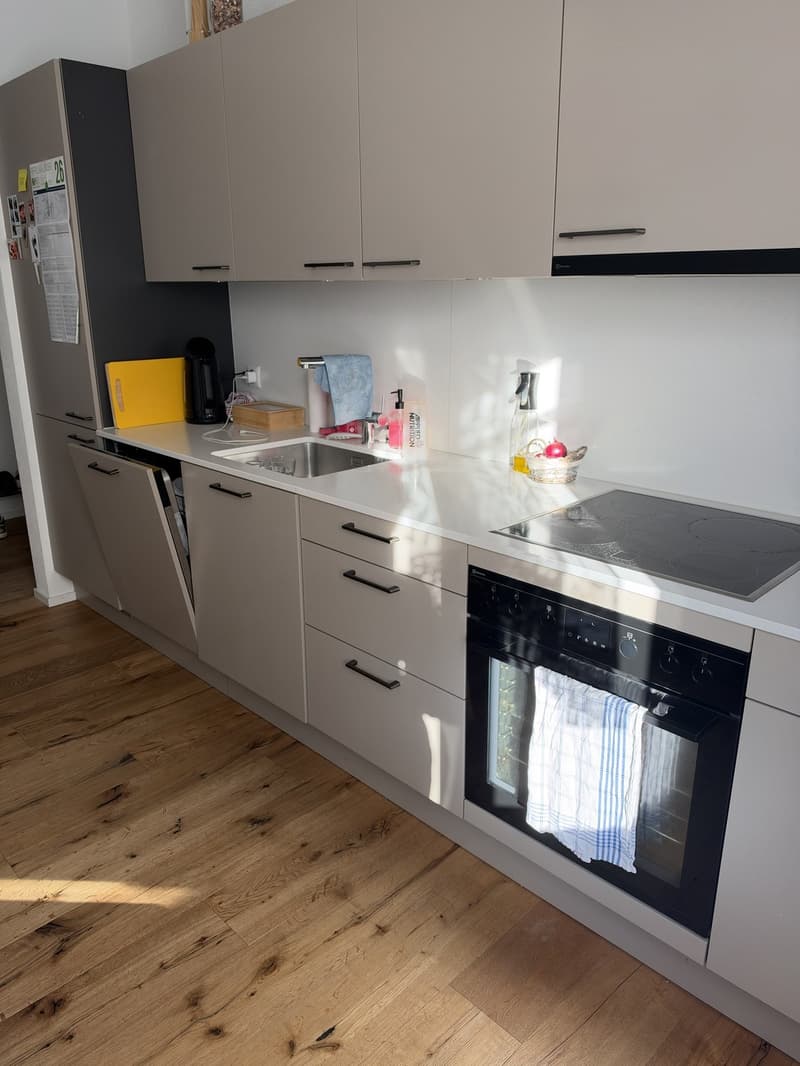 4.5 Zimmer Wohnung (6)