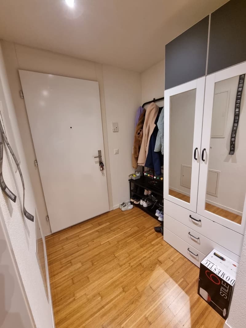 Untermiete Möbliert für mind. 2 Monate in Luzern Allmemd (5)