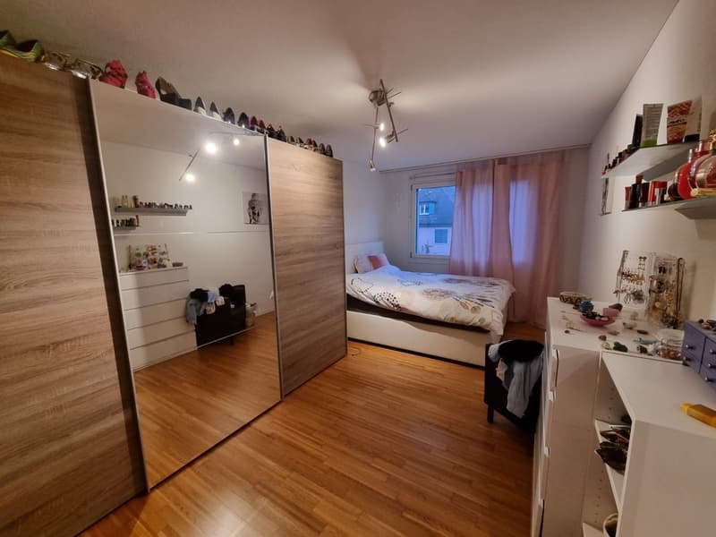 Untermiete Möbliert für mind. 2 Monate in Luzern Allmemd (8)