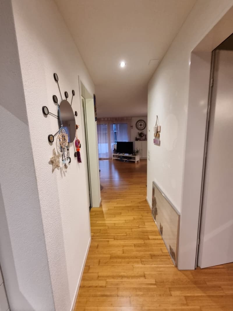 Untermiete Möbliert für mind. 2 Monate in Luzern Allmemd (4)