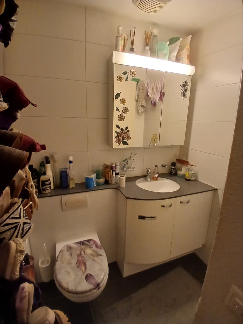 1.5-Zimmer-Wohnung mit Terrasse in Kriens zur Nachmiete (8)