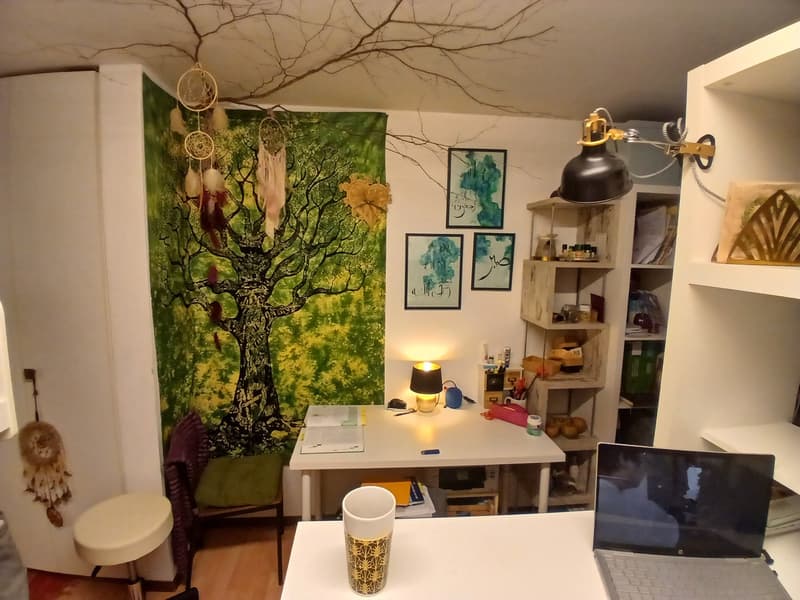 1.5-Zimmer-Wohnung mit Terrasse in Kriens zur Nachmiete (6)