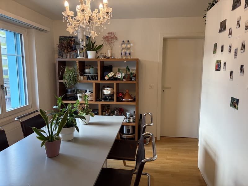 WG-Zimmer im Liebefeld ab Februar 2027 in einer 4er-WG (4)