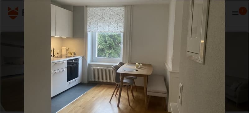 2 ½ Zimmer-Wohnung, 8002 Zürich (8)