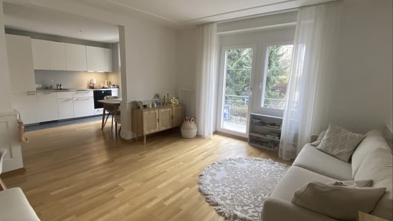 2 ½ Zimmer-Wohnung, 8002 Zürich (1)