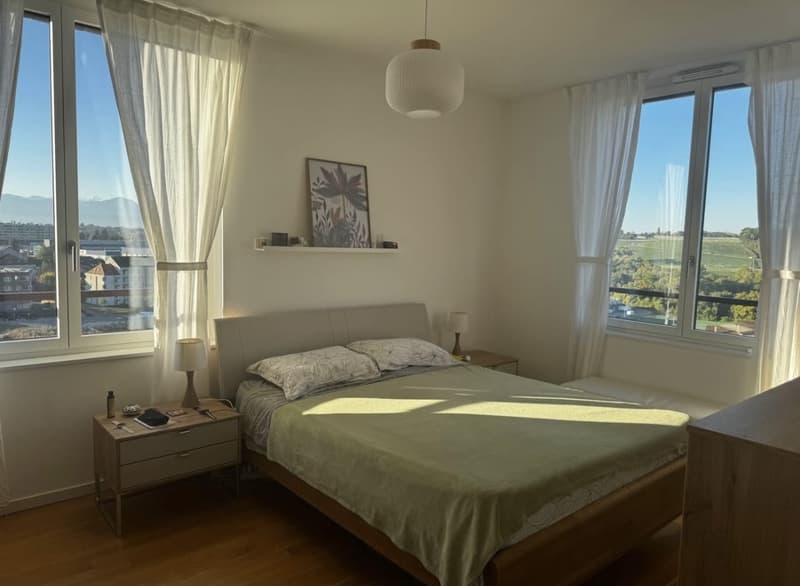 Superbe lumineux appartement de 4.5 pièces (7)