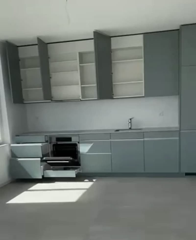Superbe lumineux appartement de 4.5 pièces (3)