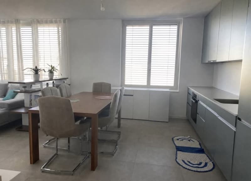 Superbe lumineux appartement de 4.5 pièces (2)