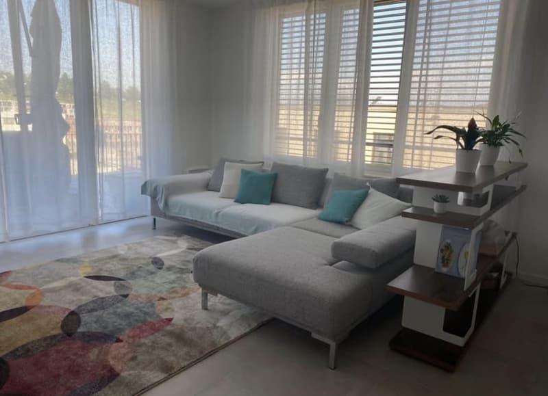 Superbe lumineux appartement de 4.5 pièces (1)
