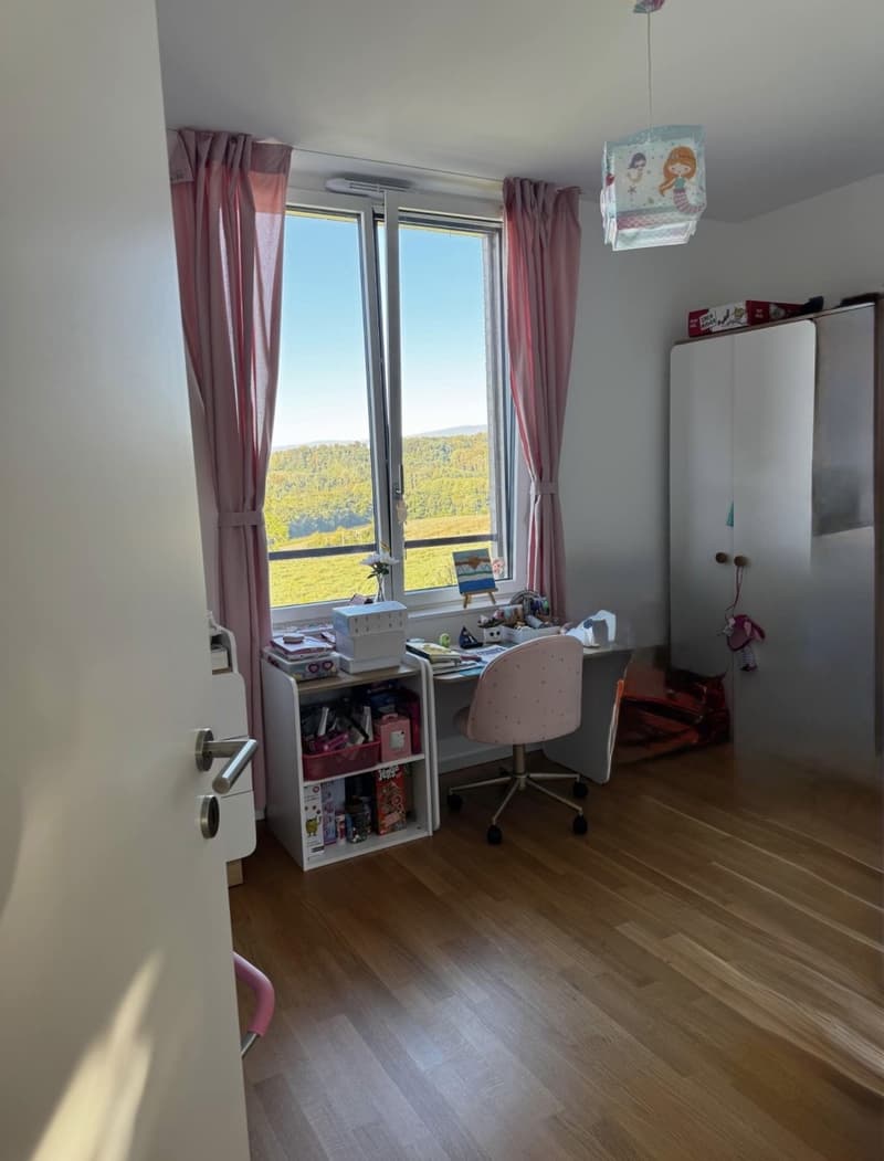 Superbe lumineux appartement de 4.5 pièces (8)