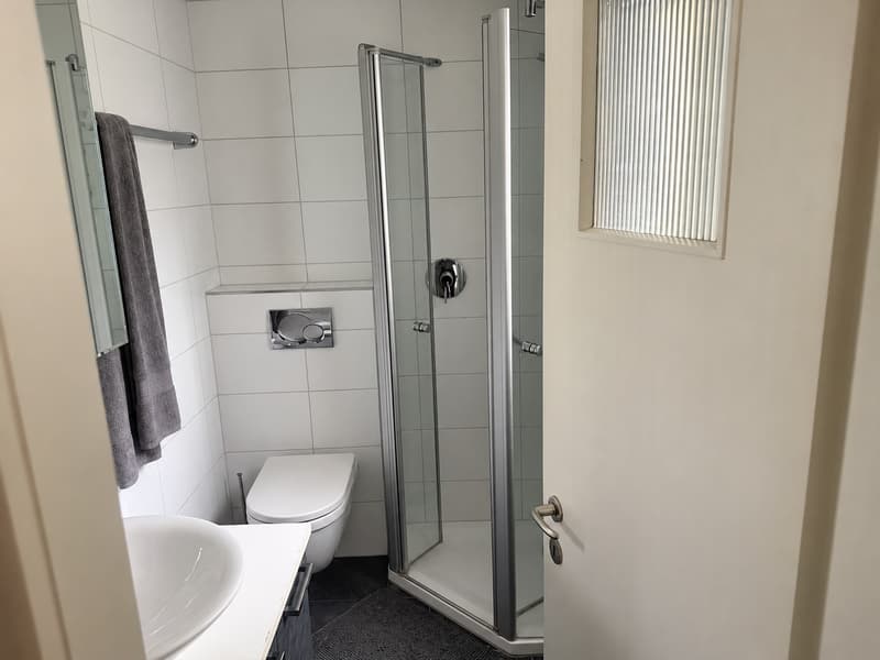 Dachwohnung in Zürich Oerlikon in grüner Lage (4)