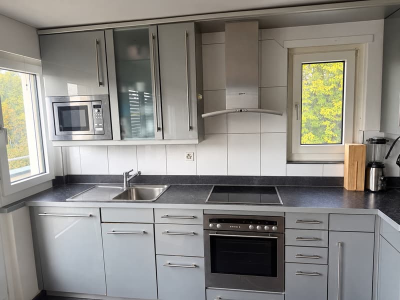 Dachwohnung in Zürich Oerlikon in grüner Lage (3)