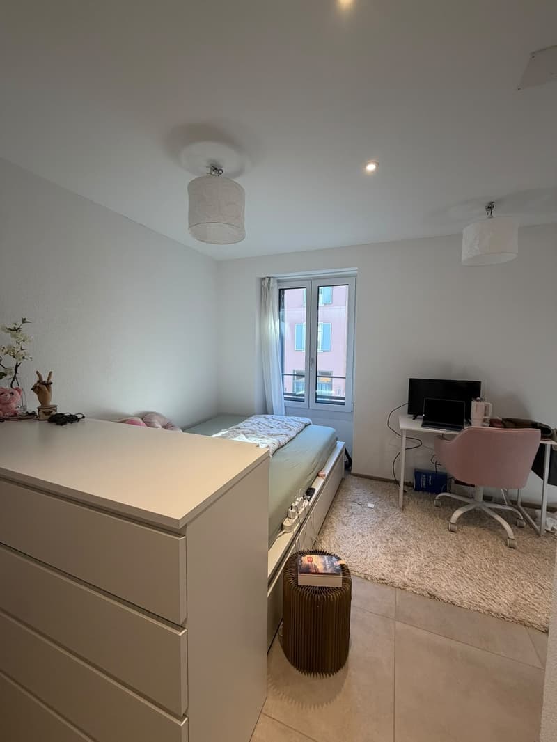 Modern Apartment in Zurich Wiedikon (1)