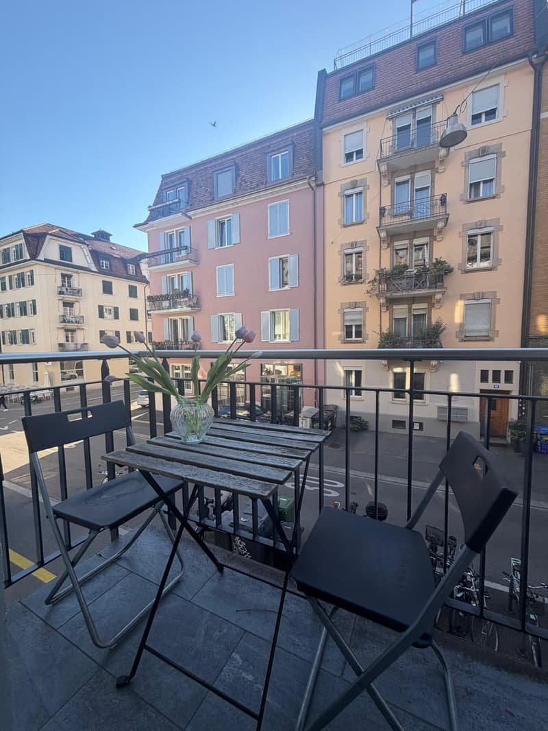 Modern Apartment in Zurich Wiedikon (2)