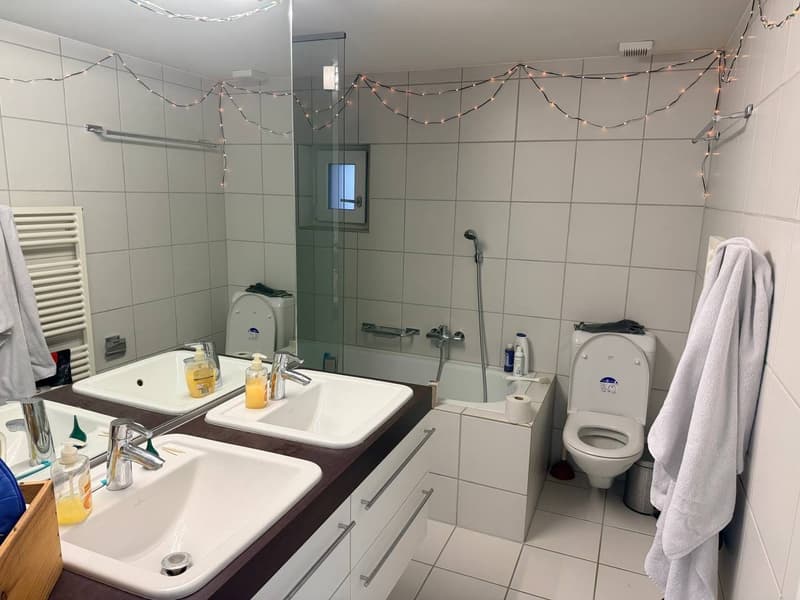 We're looking for a 3rd roommate to join our appartment in Baden. (6)