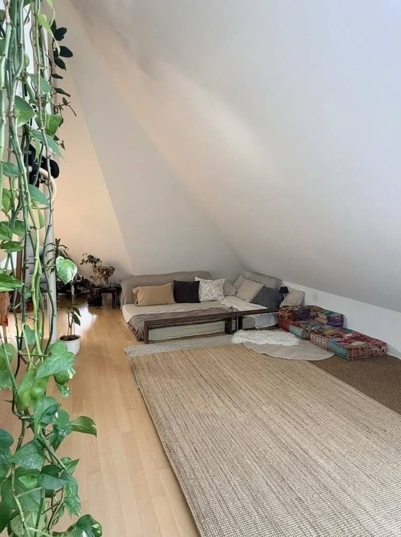 We're looking for a 3rd roommate to join our appartment in Baden. (2)