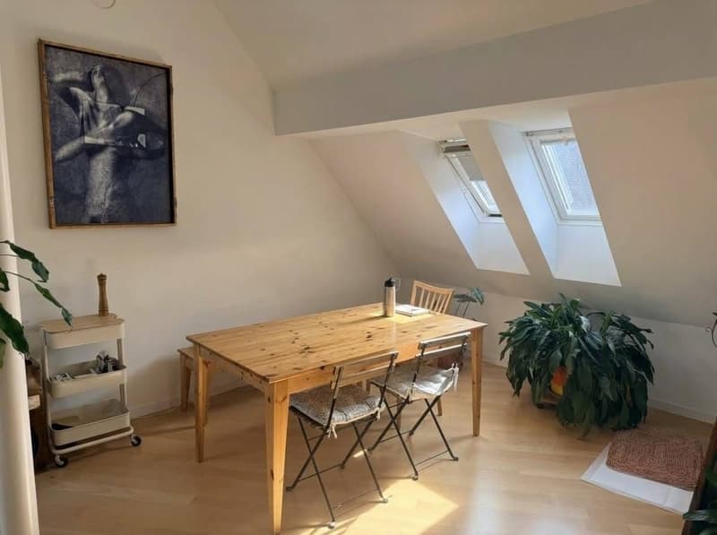 We're looking for a 3rd roommate to join our appartment in Baden. (4)