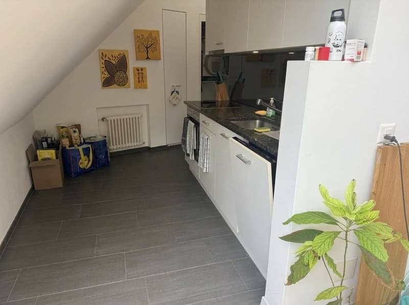 We're looking for a 3rd roommate to join our appartment in Baden. (5)