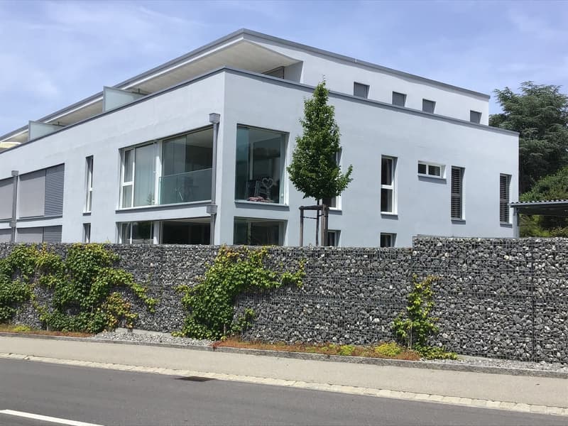 Vorankündigung (8)