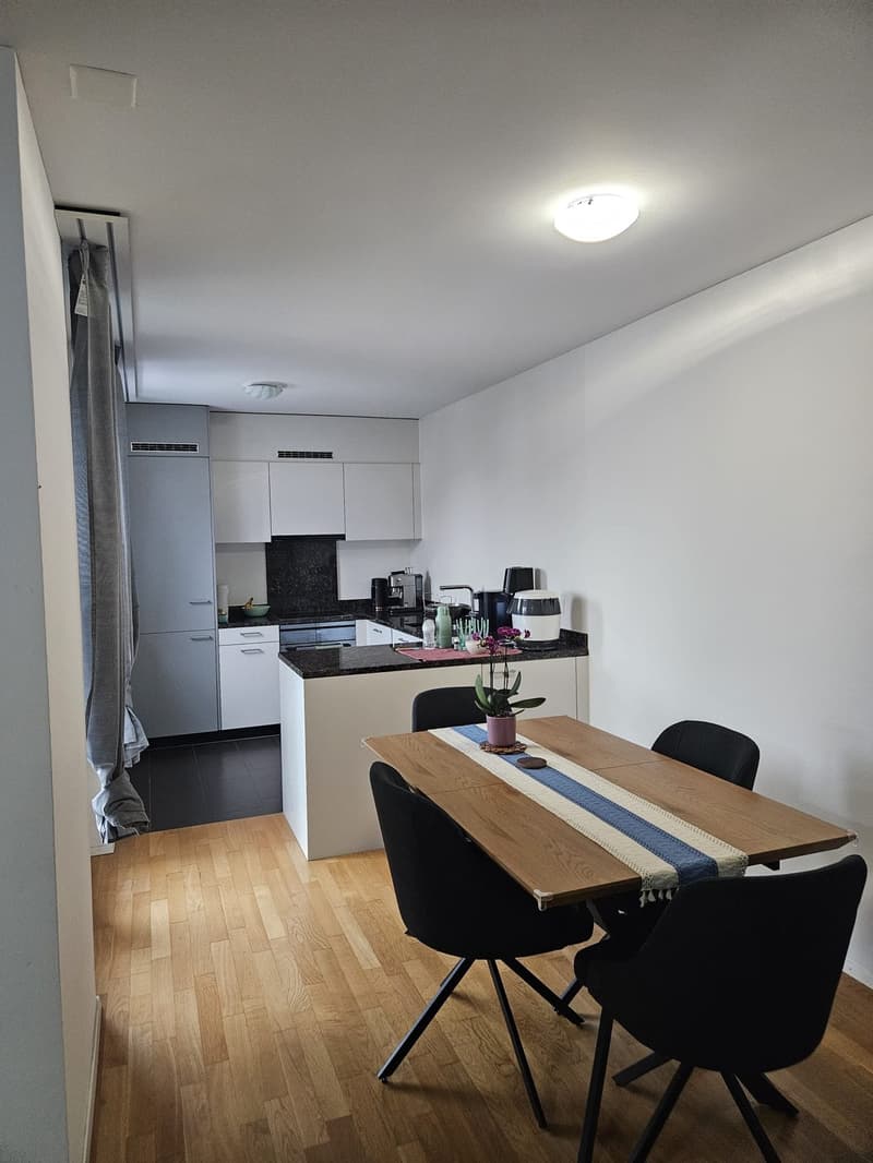 Bright 2.5-Room Top-Floor Apartment with Large Balcony - Glattbrugg (8152 Zurich) (1)