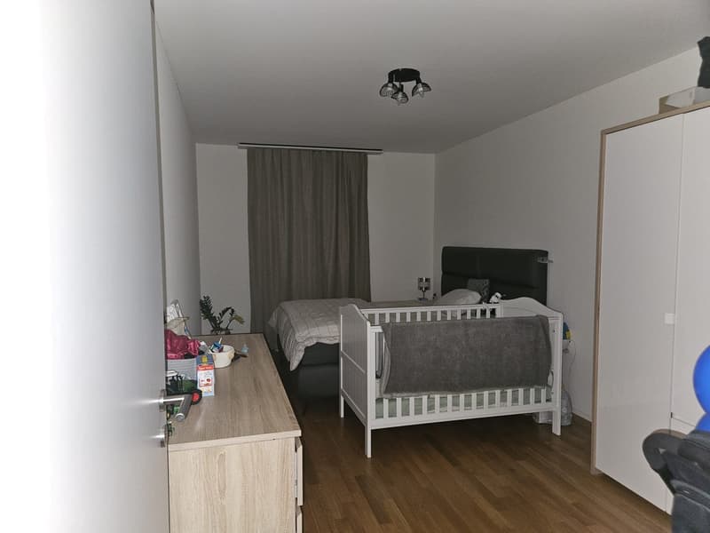 Bright 2.5-Room Top-Floor Apartment with Large Balcony - Glattbrugg (8152 Zurich) (4)