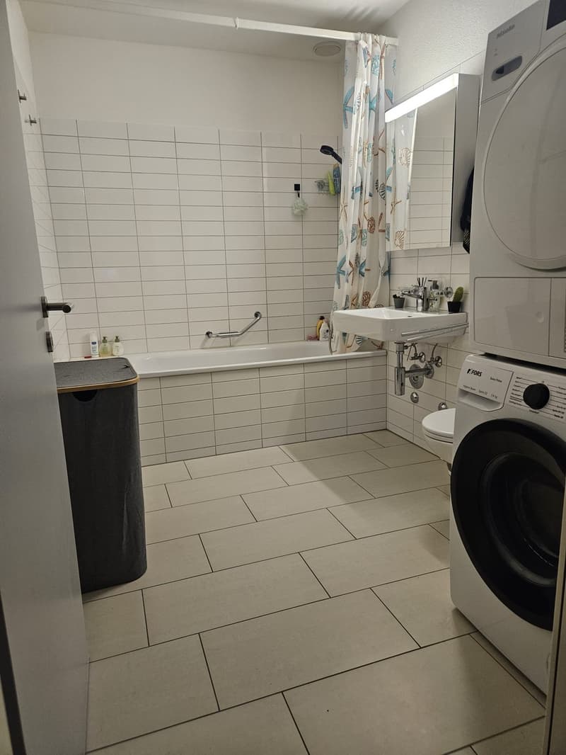 Bright 2.5-Room Top-Floor Apartment with Large Balcony - Glattbrugg (8152 Zurich) (3)