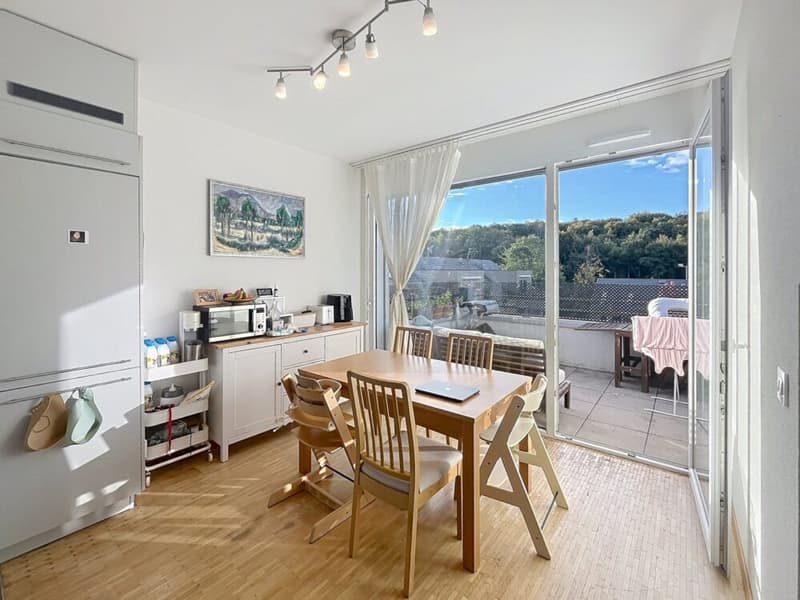 Bel appartement à Epalinges (4)