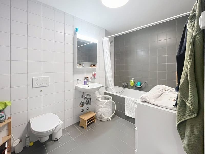 Bel appartement à Epalinges (5)