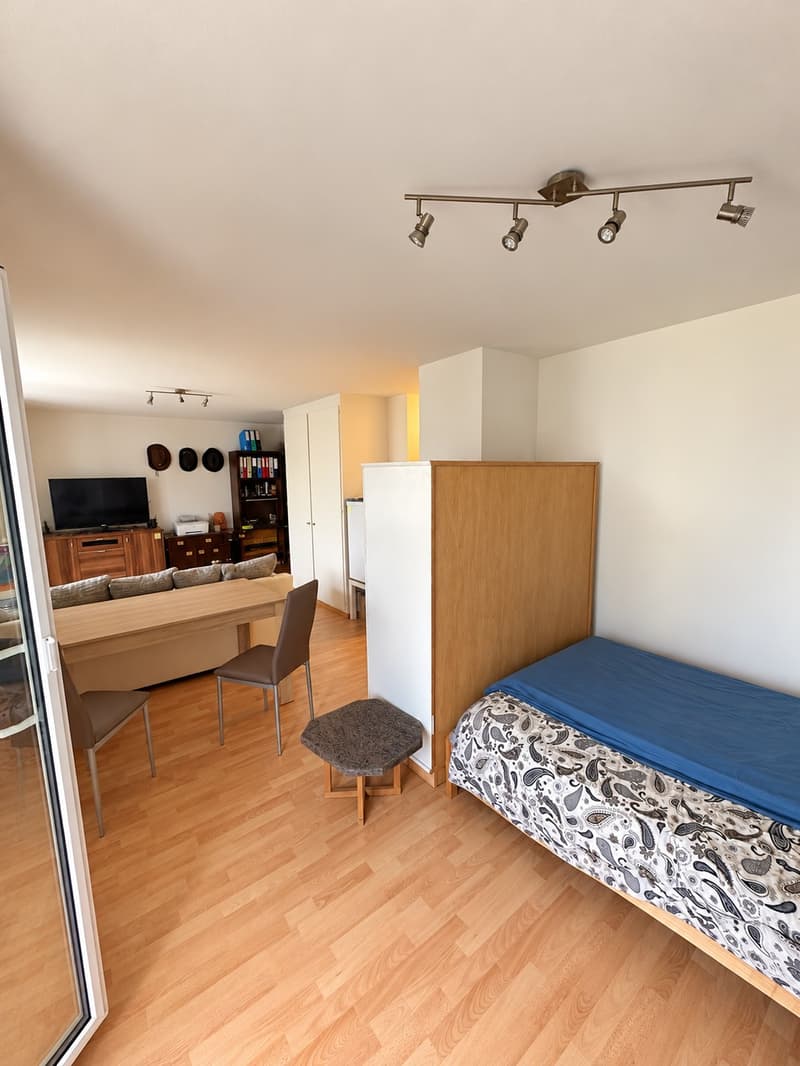 1.5 ZIMMERWOHNUNG MIT BALKON (1)
