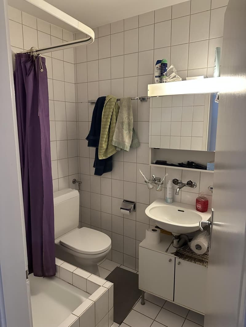 1.5 ZIMMERWOHNUNG MIT BALKON (5)