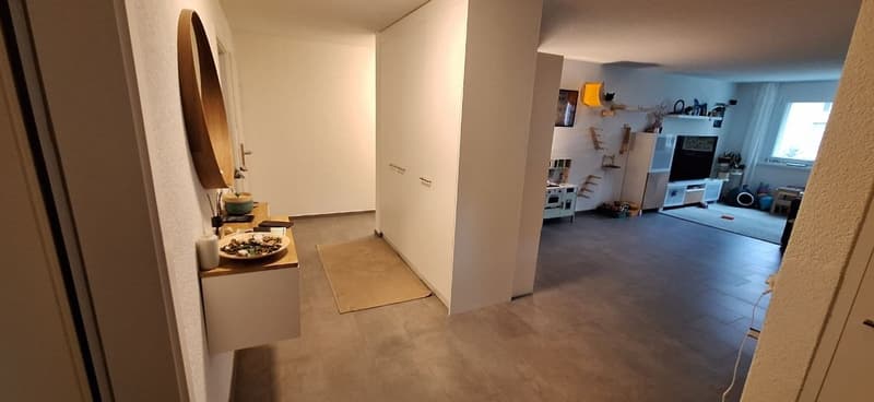 4 ½ rooms apartment, 4542 Luterbach (7)