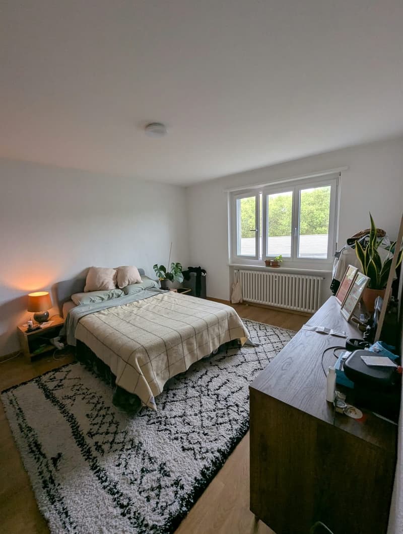 Helle 2.5-Zimmer-Wohnung mit Balkon  Wiedikon, Kreis 3 (2)