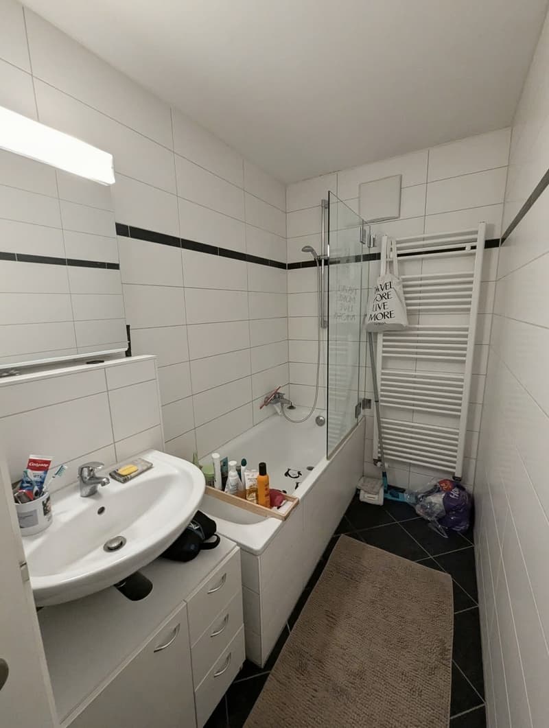 Helle 2.5-Zimmer-Wohnung mit Balkon  Wiedikon, Kreis 3 (6)