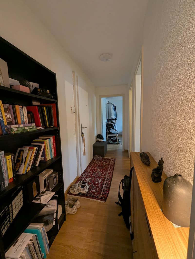 Helle 2.5-Zimmer-Wohnung mit Balkon  Wiedikon, Kreis 3 (4)