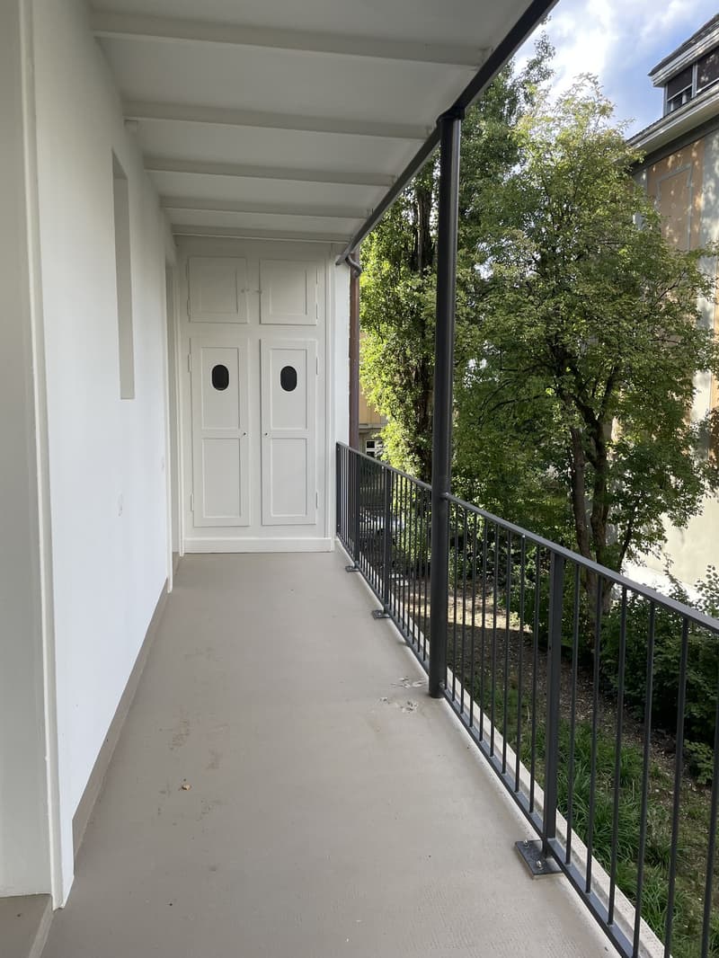 Wunderschöne 3-Z'Wohnung in Baumgartnerhaus (8)