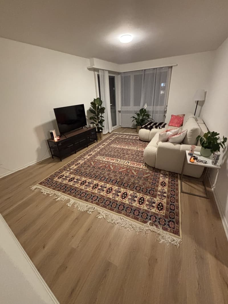 WG Zimmer (4)