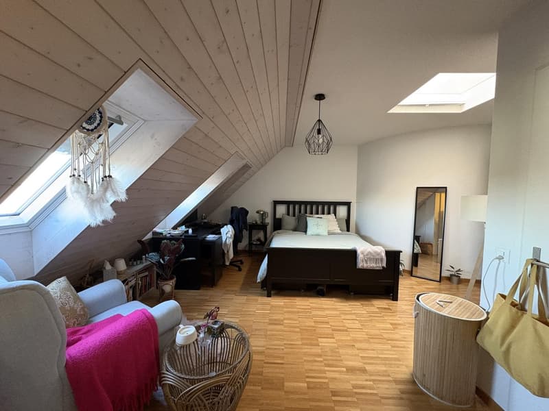 Room in a shared flat, 8051 Zurich (1)